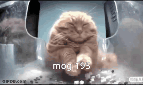 A Cat Is Sitting In A Plastic Container With The Words Mog 195 Written On It GIF