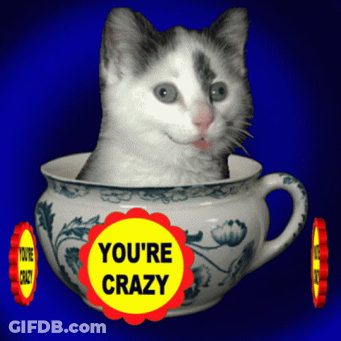 A Cat Is Sitting In A Teacup With A Yellow Circle That Says You 'Re Crazy GIF