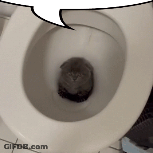 A Cat Is Sitting In A Toilet With A Speech Bubble Behind It GIF