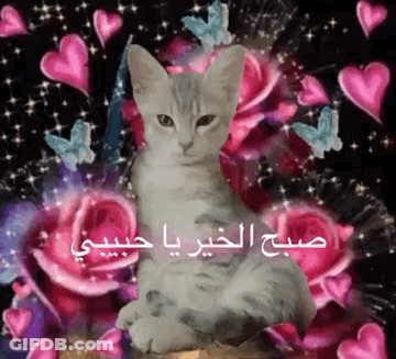 A Cat Is Sitting In Front Of A Bunch Of Flowers And Butterflies . GIF