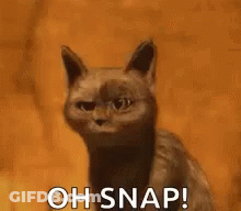 A Cat Is Sitting In Front Of A Fire With The Words `` Oh Snap '' . GIF