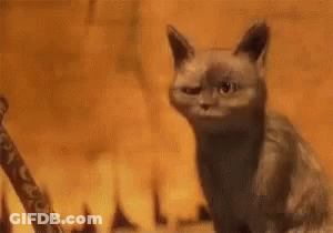 A Cat Is Sitting In Front Of A Fire With The Words `` Ohh '' Written In The Background . GIF
