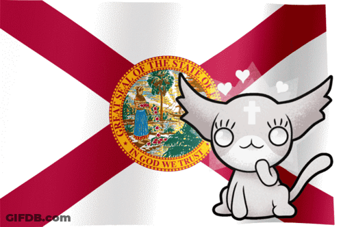 A Cat Is Sitting In Front Of A Flag That Says " Great Seal Of The State Of Florida " GIF