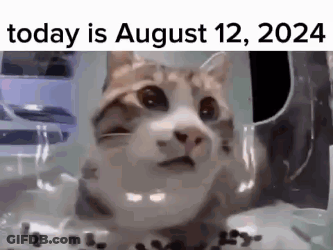 A Cat Is Sitting In Front Of A Glass With The Date Of August 12 2024 Written On It . GIF