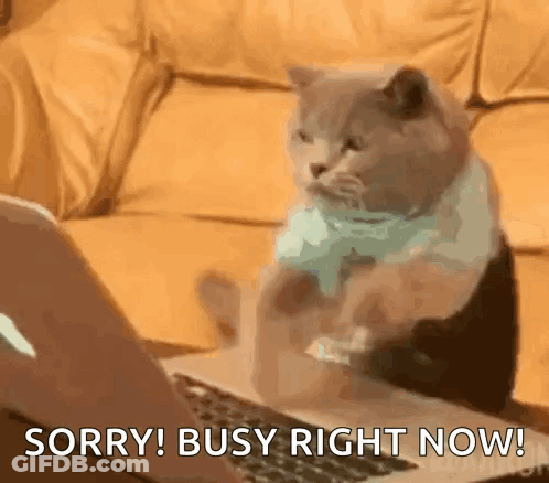 A Cat Is Sitting In Front Of A Laptop Computer And Says Sorry Busy Right Now GIF
