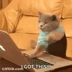 A Cat Is Sitting In Front Of A Laptop Computer With Its Paws On The Keyboard . GIF
