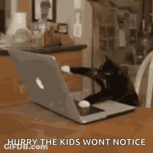 A Cat Is Sitting In Front Of A Laptop Computer With The Words `` Hurry The Kids Wont Notice '' Written Below It . GIF