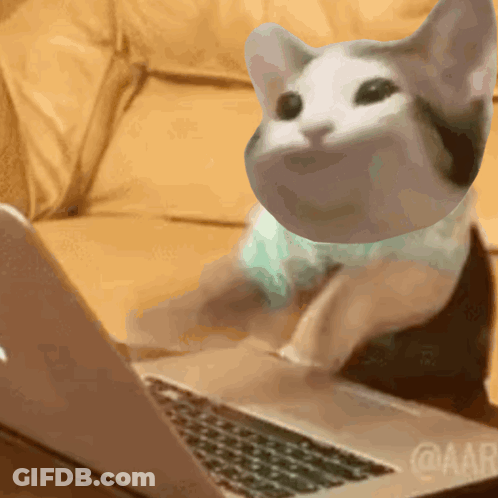 A Cat Is Sitting In Front Of A Laptop With A Picture Of A Cat On It GIF