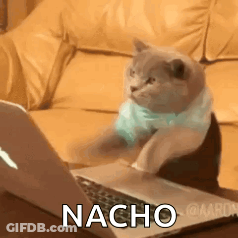 A Cat Is Sitting In Front Of A Laptop With The Word Nacho On The Screen . GIF