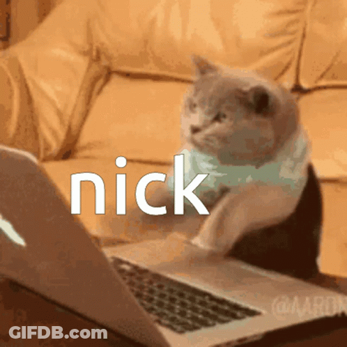 A Cat Is Sitting In Front Of A Laptop With The Word Nick On The Screen GIF