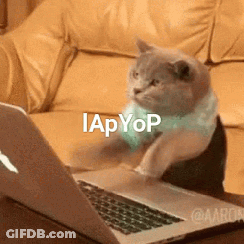 A Cat Is Sitting In Front Of A Laptop With The Words Iapyop Written Above It . GIF