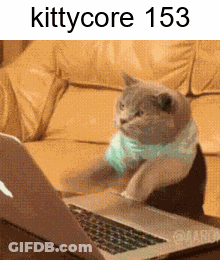 A Cat Is Sitting In Front Of A Laptop With The Words Kittycore 153 On The Bottom GIF