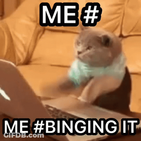 A Cat Is Sitting In Front Of A Laptop With The Words Me # Me # Binging It GIF