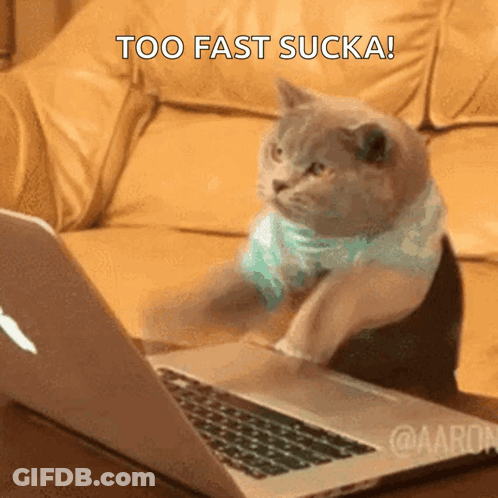 A Cat Is Sitting In Front Of A Laptop With The Words Too Fast Sucka Written Above It GIF