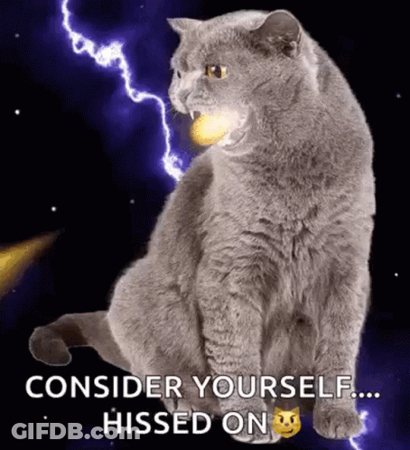 A Cat Is Sitting In Front Of A Lightning Bolt With The Words `` Consider Yourself ... Missed On '' . GIF