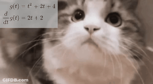 A Cat Is Sitting In Front Of A Math Problem GIF