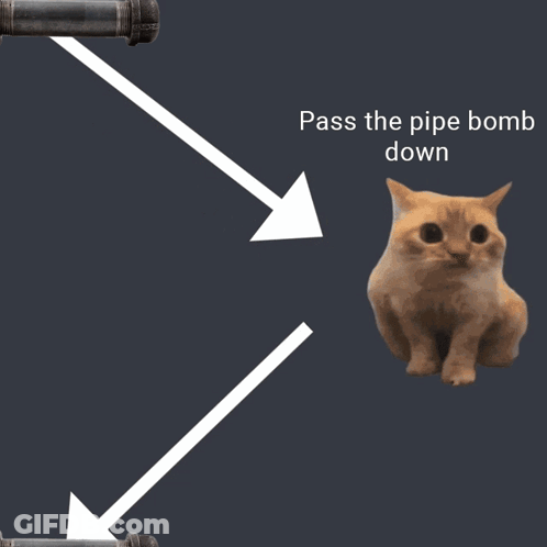 A Cat Is Sitting In Front Of A Pipe With The Words Pass The Pipe Bomb Down Above It GIF
