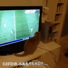 A Cat Is Sitting In Front Of A Television With The Words Get Ready Written On It . GIF