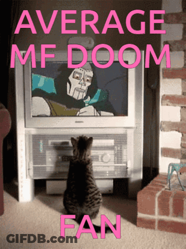 Cat Sitting In Front Of TV Average MF Doom Fan GIF