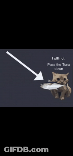 A Cat Is Sitting In Front Of An Arrow Pointing Down To A Tuna . GIF
