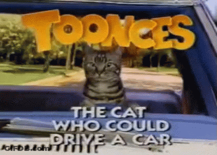 A Cat Is Sitting In The Back Of A Car With The Words " The Cat Who Could Drive A Car " Written Above It . GIF