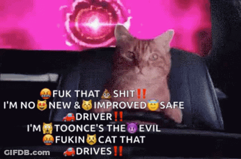 A Cat Is Sitting In The Back Seat Of A Car With A Purple Background GIF