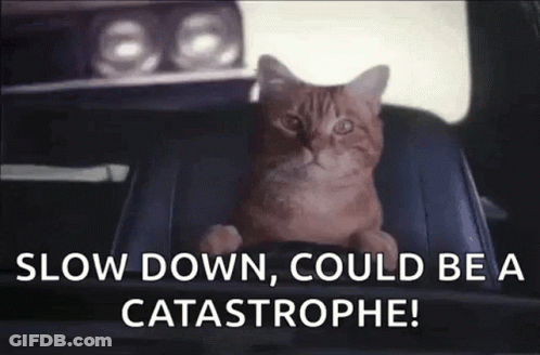 A Cat Is Sitting In The Back Seat Of A Car With The Words `` Slow Down , Could Be A Catastrophe '' . GIF