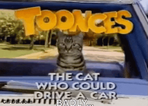 A Cat Is Sitting In The Back Seat Of A Car With The Words `` The Cat Who Could Drive A Car Badly '' . GIF