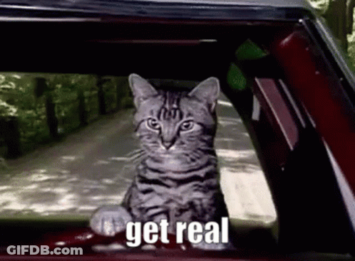A Cat Is Sitting In The Driver 'S Seat Of A Car Looking Out The Window . GIF