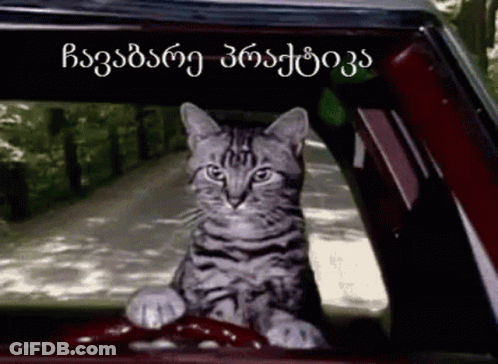 A Cat Is Sitting In The Driver 'S Seat Of A Car With Foreign Writing Behind It GIF
