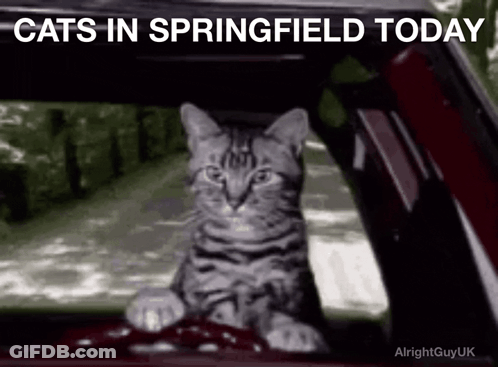 A Cat Is Sitting In The Driver 'S Seat Of A Car With The Words `` Cats In Springfield Today '' Above It . GIF