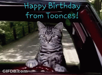 A Cat Is Sitting In The Driver 'S Seat Of A Car With The Words Happy Birthday From Tooonces Written Above It GIF