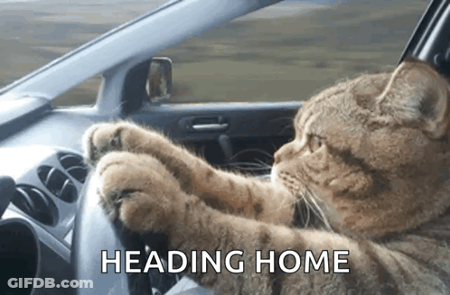 A Cat Is Sitting In The Driver 'S Seat Of A Car With The Words Heading Home Above It GIF