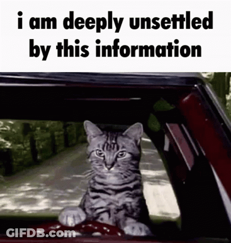 A Cat Is Sitting In The Driver 'S Seat Of A Car With The Words I Am Deeply Unsettled By This Information . GIF