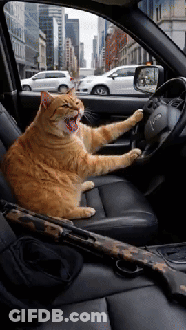A Cat Is Sitting In The Driver 'S Seat Of A Car Yawning GIF