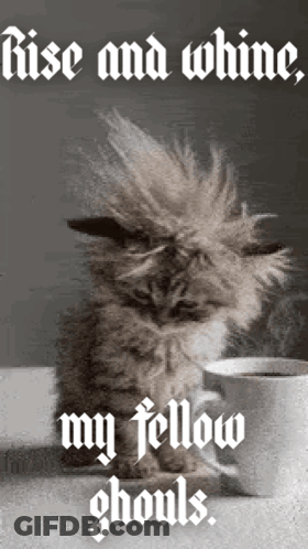 A Cat Is Sitting Next To A Cup Of Coffee With The Words Rise And Whine My Fellow Ghouls Above It GIF