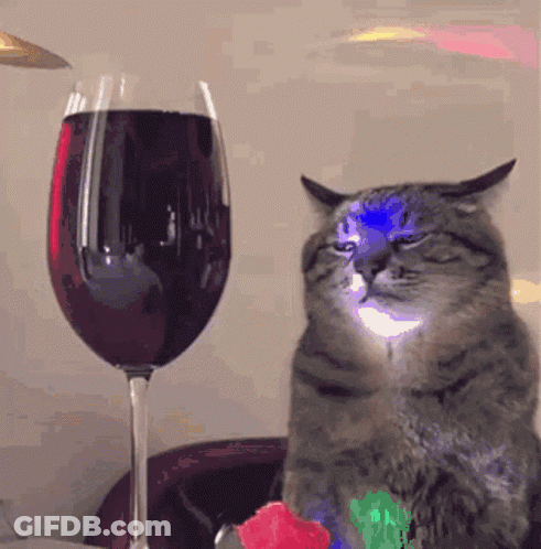 A Cat Is Sitting Next To A Glass Of Red Wine GIF