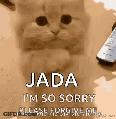 A Cat Is Sitting Next To A Remote Control And Saying Jada I 'M So Sorry . GIF