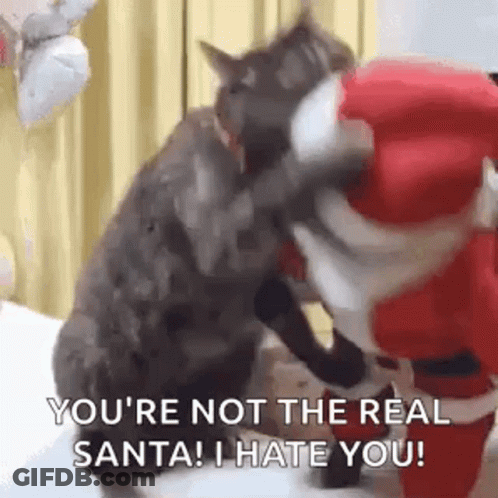 A Cat Is Sitting Next To A Stuffed Animal Dressed As Santa Claus And A Dog . GIF