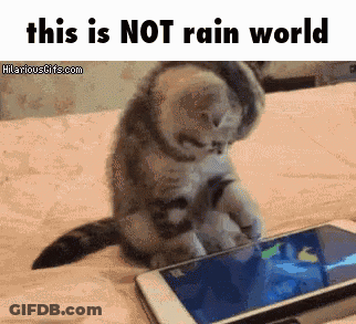 A Cat Is Sitting On A Bed Looking At A Cell Phone With The Words This Is Not Rain World Above It GIF