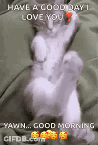 A Cat Is Sitting On A Bed With A Heart On Its Paw And Says `` Have A Good Day I Love You '' . GIF