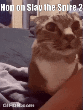 A Cat Is Sitting On A Bed With The Words Hop On Slay The Spire 2 Above It GIF