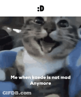 A Cat Is Sitting On A Blue Blanket And Smiling . GIF