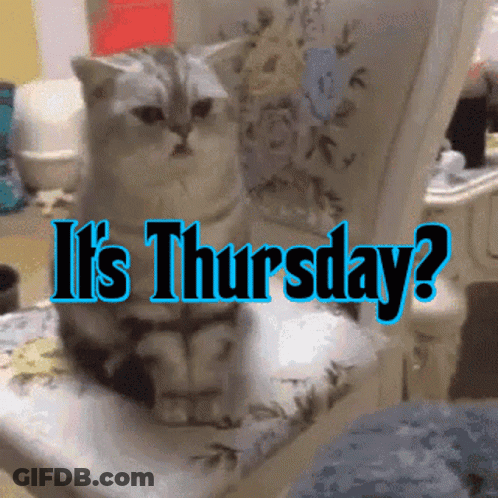 A Cat Is Sitting On A Chair With The Words It 'S Thursday GIF