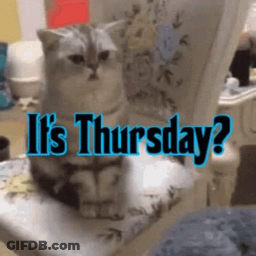 A Cat Is Sitting On A Chair With The Words " It 'S Thursday " Written Above It GIF