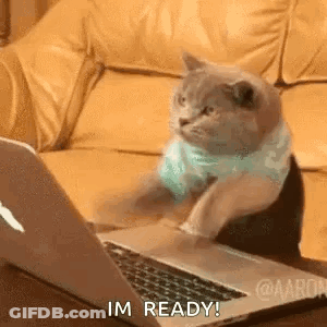 A Cat Is Sitting On A Couch In Front Of A Laptop Computer And Says `` I 'M Ready '' . GIF