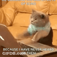 A Cat Is Sitting On A Couch In Front Of A Laptop . GIF