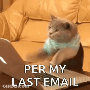 A Cat Is Sitting On A Couch Looking At A Laptop . GIF