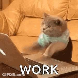 A Cat Is Sitting On A Couch Next To A Laptop Computer . GIF