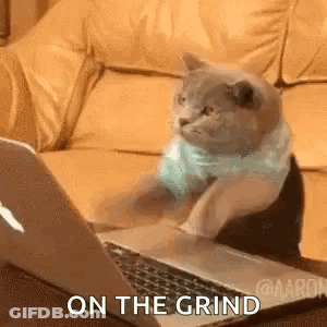 A Cat Is Sitting On A Couch Using A Laptop . GIF
